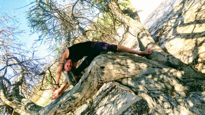 Праздничный уик-энд йоги в пустыне. 10 лет мероприятию «Йога Арава»