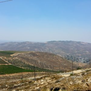 О правомерности поселений в Иудее и Самарии