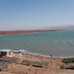 Найти убежище от коронавируса здесь, в стране