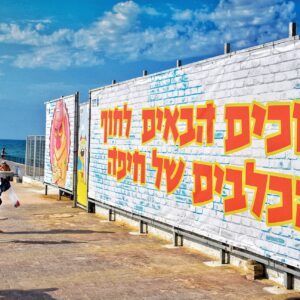 Собакам теперь есть, где купаться. Первый пляж для выгула собак открылся в Хайфе