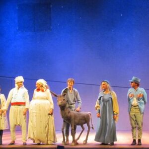 30-й Хайфский театральный фестиваль спектаклей для детей он-лайн дома в салоне