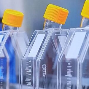 Сегодня в Израиле начались клинические испытания вакцины против коронавируса на людях. Удачи и здоровья добровольцам!