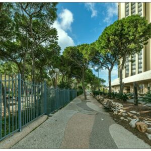 Хайфа — вновь «зеленый город». Обновленные данные Министерства здравоохранения