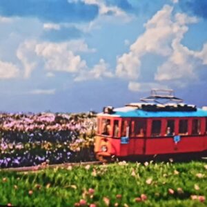 Конкурс документальных и художественных фильмов. «Аутсайдер. Фрейд». Путешествие к истокам в потоке образов и документальных свидетельств